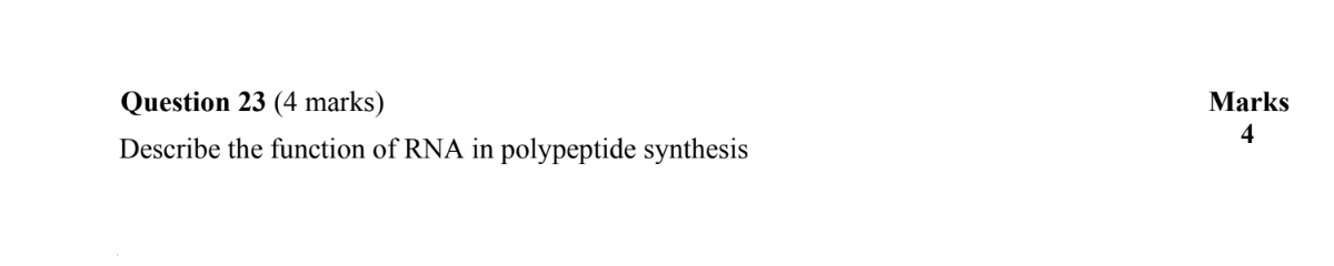 Year 12 Biology Exam Pack