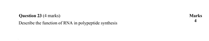 Year 12 Biology Exam Pack