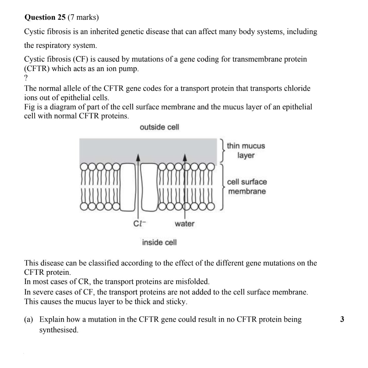 Year 12 Biology Exam Pack